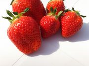 ł肩}}̂_ꂢ̓eʐ^1