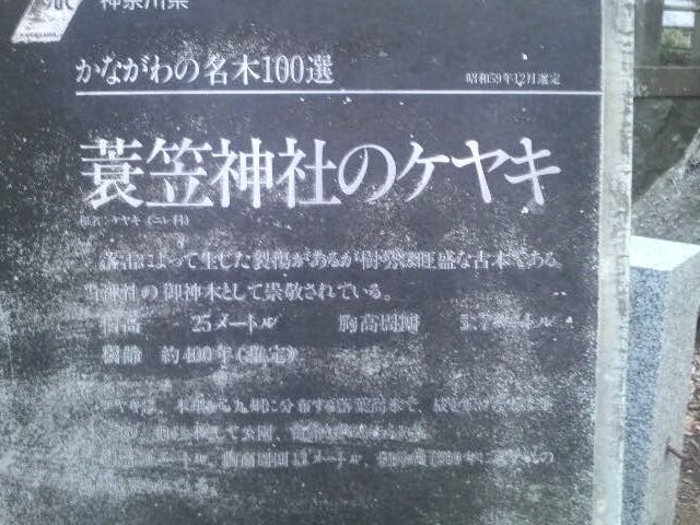 Ƃ񂳂̖}_Ђ̃PL̓eʐ^5