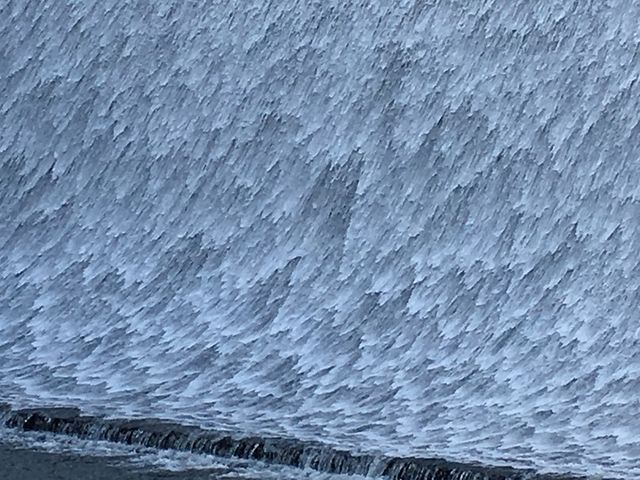 �g��_�����_��