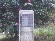 Ƃ񂳂̑׉̃Cgqo̓eʐ^3