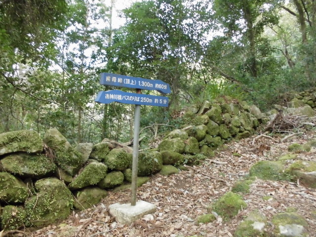 �W������������Ă��܂����B_�]�����Y��E���Y��