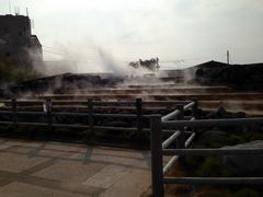 poporon̏l򑫓@قƂӂƂPOTւ̓eʐ^1