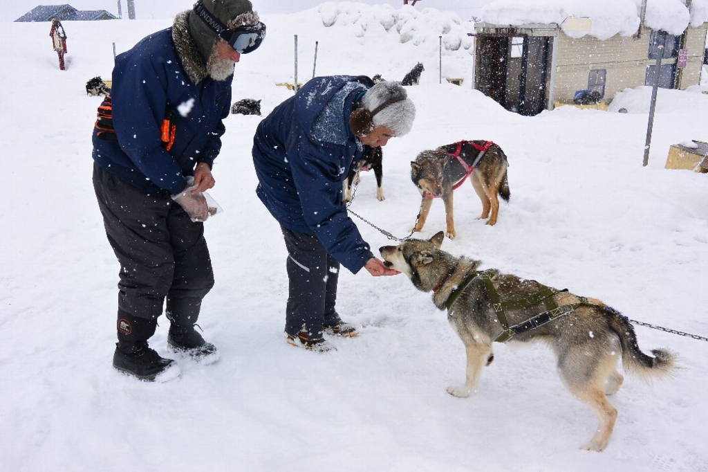 犬ぞり体験 アクセス 営業時間 料金情報 じゃらんnet