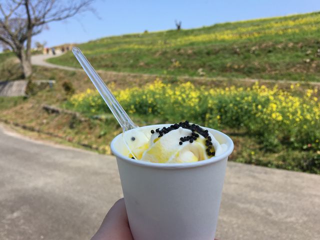 ؂̉ԃ\tg_@i啪L㍂csj