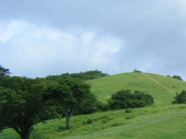 tos̒RȎRoRR[X̓eʐ^1