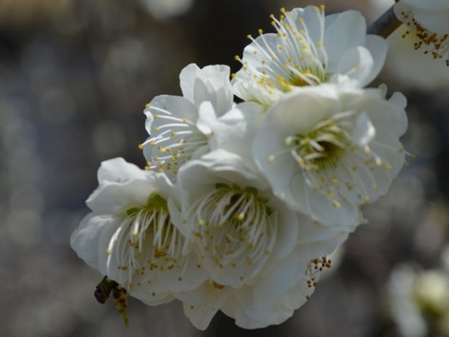 ���ł͂Ȃ��~���炢�Ă܂����B_����V���D