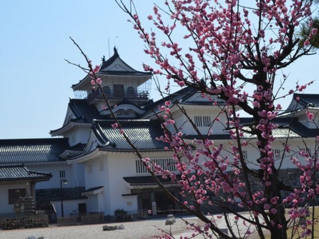 お城造りです。_富山市郷土博物館