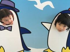 侮ってはいけない 小さい水族館 寺泊水族博物館の口コミ じゃらんnet