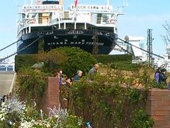 usa̓{XDXۂւ̓eʐ^1