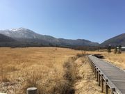 poporon����̒��Ҍ����R�����H�̓��e�ʐ^2