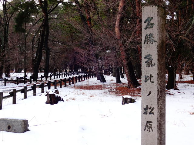 �C��̏���_�C��̏���