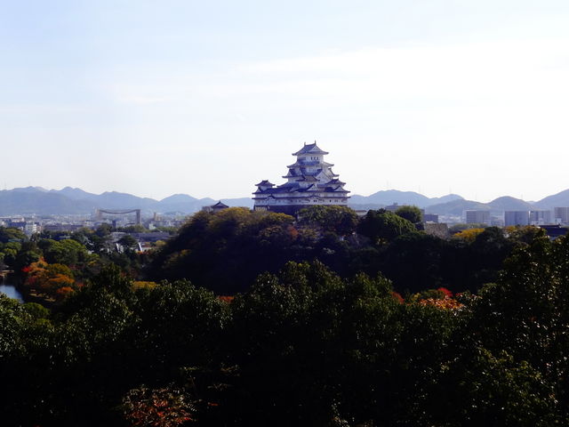 �j�R�z���r��������̒��]_�j�R�z���r����