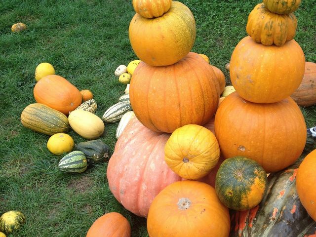 Lɐς܂Ă܂_̉w jZRr[vU