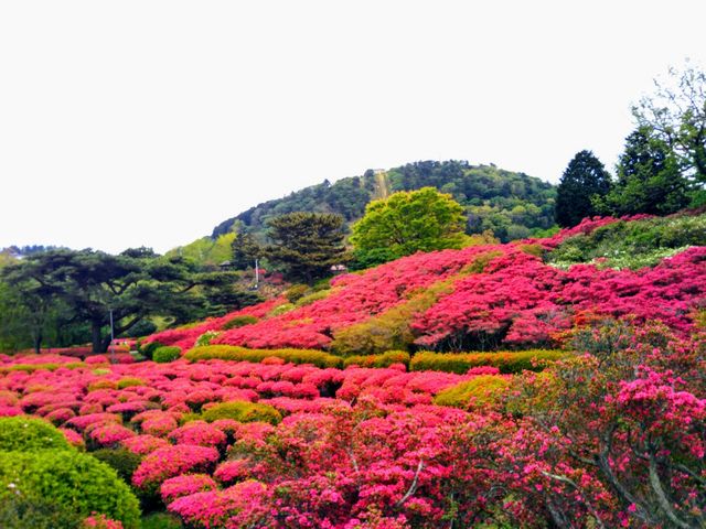 �����R_���@�����p��