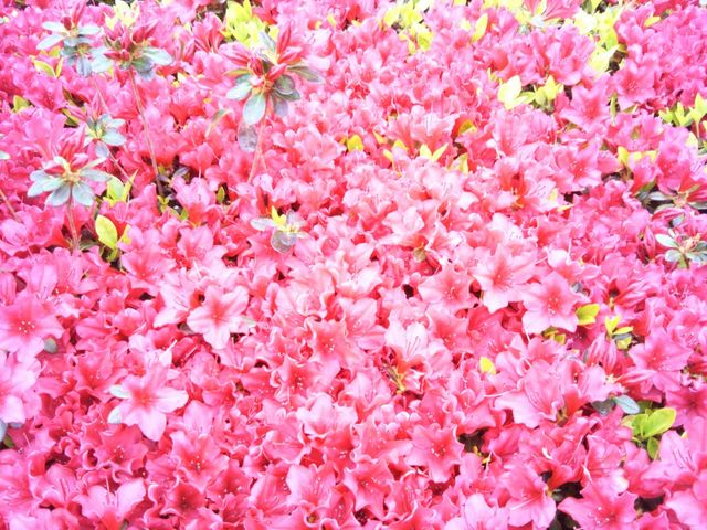 �����R_���@�����p��