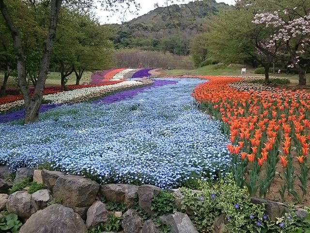 ���d���ƃ`���[���b�v_�΂̎R�����^������