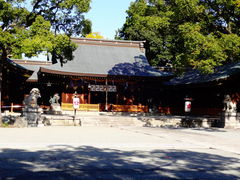 ǁ[̔{ PH썑_Ђւ̓eʐ^1