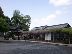 武蔵寺の藤 アクセス 営業時間 料金情報 じゃらんnet