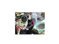 䂣̂ӂ xā@Ɨqւ̓eʐ^1