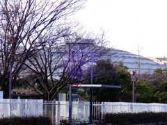 ǁ[̊򕌃AZ^[ւ̓eʐ^1