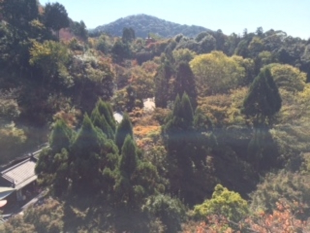 �g�t���Y��ł����B_����܉���