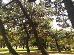 �l�������̎ʐ^1