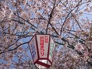 �X�k�v����̎���s���R�������^������̓��e�ʐ^1