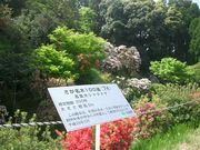 JOE̎uC̑VNiQ̓eʐ^1