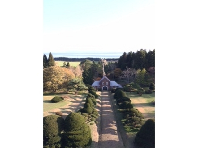 �C���@_�����V�g�[���̐����C���@�i�g���s�X�g�C���@�j