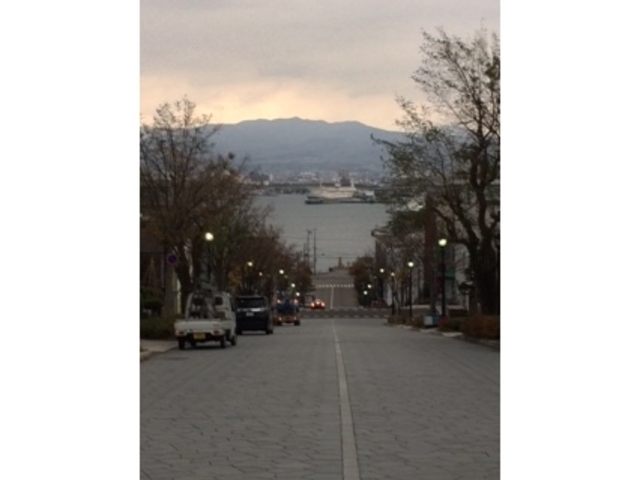 �傫�ȍ⓹_��O��