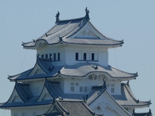 �j�R�z���r�����E�����A�b�v�ŁI_�j�R�z���r����