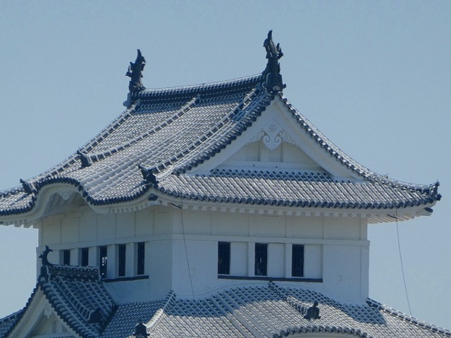 �j�R�z���r�����E���������A�b�v�ŁI_�j�R�z���r����