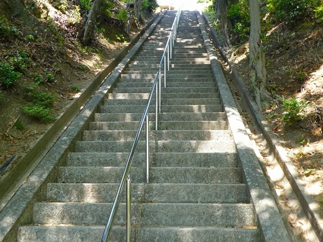 �j�R�z���r�����E�}�Œ����Ȉ׊��肻���ŕ|�������B_�j�R�z���r����