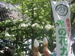 ʂW[W̖؂̉ԃKeւ̓eʐ^1