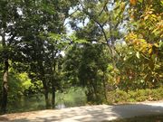 �ӂ�����̍]���΂̓��e�ʐ^1