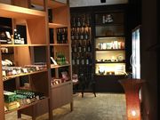 artneko̍ 啪̓eʐ^2