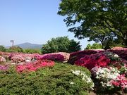 Xkv̋vĐXт̂̓eʐ^1