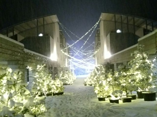 с[̔xt@[}[Yg}g̓eʐ^1