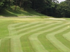 tXs[h̃`F[StO[v@StNuւ̓eʐ^1