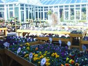 񂿂񂳂̂p[N̓eʐ^1