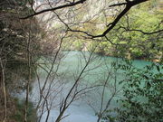 poyon36̔ی΂̓eʐ^1