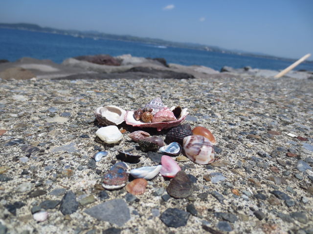 �E�����L�k�B_���m���C������