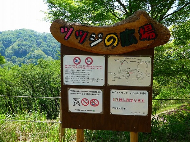 �Ȃ邩�퉀�n�E�c�c�W�̍L��_�Ȃ邩�퉀�n