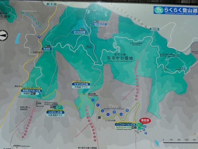 �Ȃ邩�퉀�n_�Ȃ邩�퉀�n