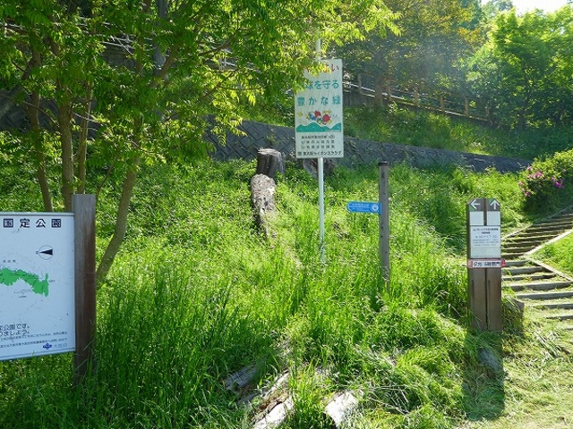 �Ȃ邩�퉀�n_�Ȃ邩�퉀�n