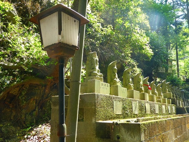 �Ȃ邩�퉀�n_�Ȃ邩�퉀�n