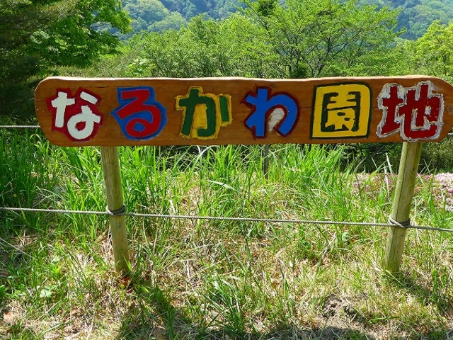 �Ȃ邩�퉀�n_�Ȃ邩�퉀�n