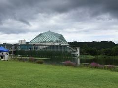 N̓Ȗ،Ȃ퐅Vւ̓eʐ^4