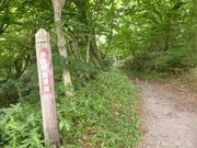 �C�[�X�g�E�b�h����̖ؒJ��k���̓��e�ʐ^2