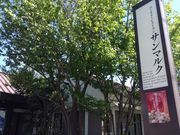 Ё[񂳂̃T}N zJX̓eʐ^2